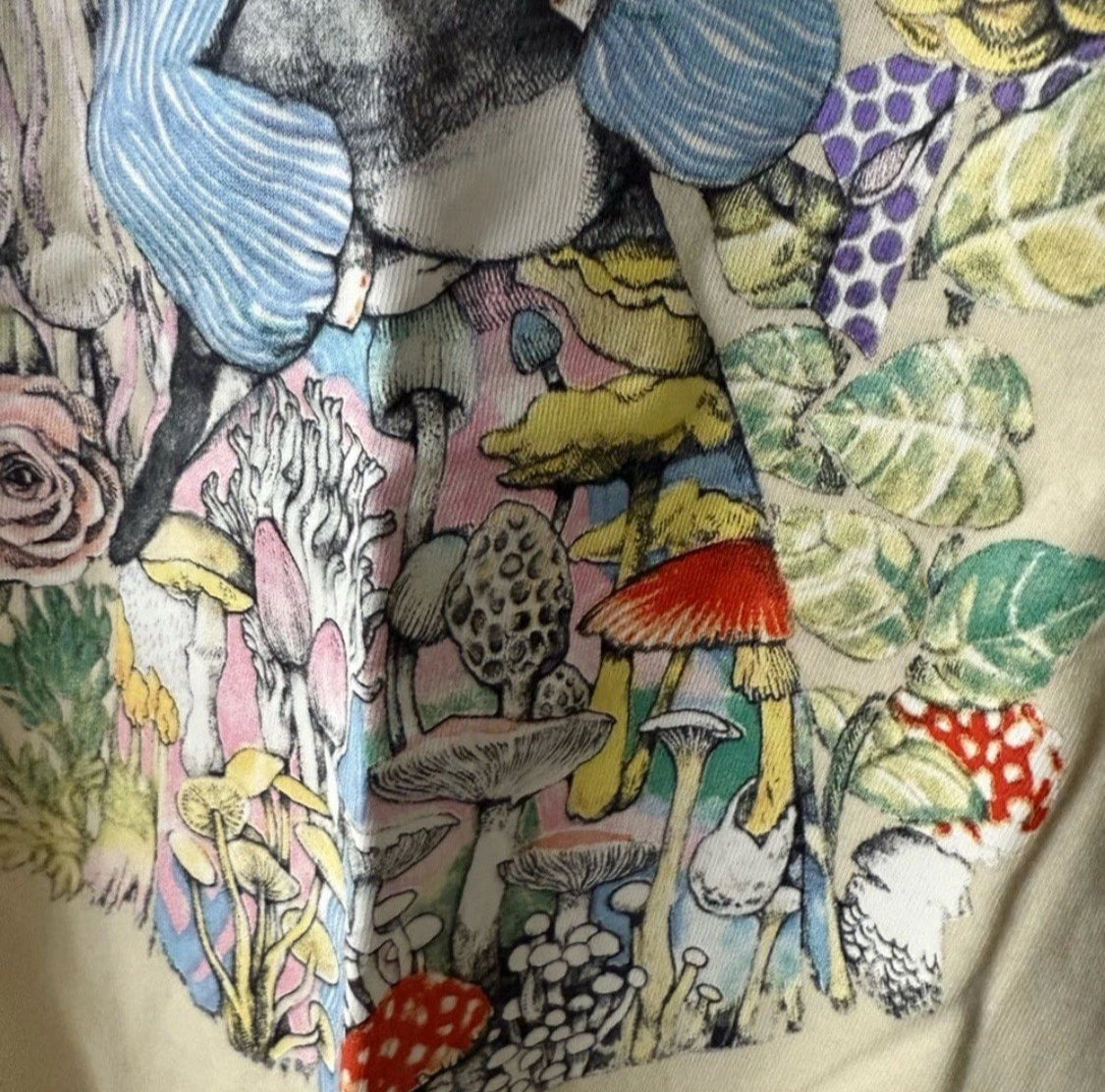 Brand new Gucci Cream Short Sleeve Tee kids size 5